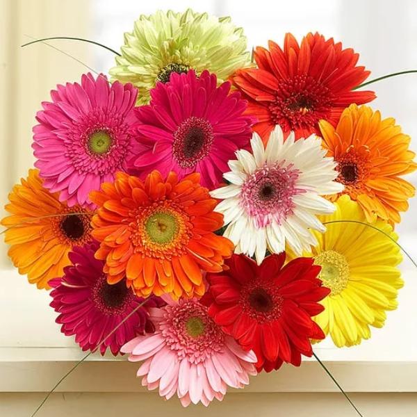 Gerbera Bouquet